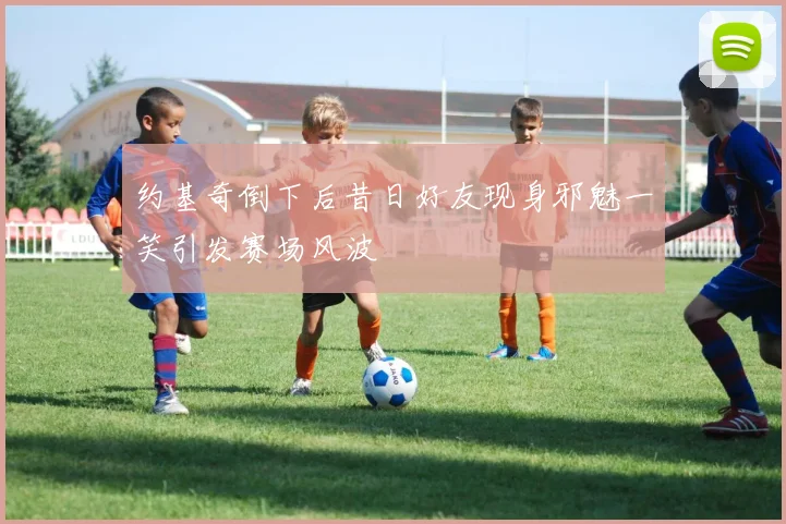 约基奇倒下后昔日好友现身邪魅一笑引发赛场风波