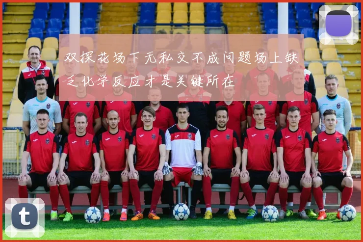 双探花场下无私交不成问题场上缺乏化学反应才是关键所在