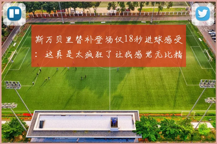 斯万贝里替补登场仅18秒进球感受：这真是太疯狂了让我感觉无比精彩